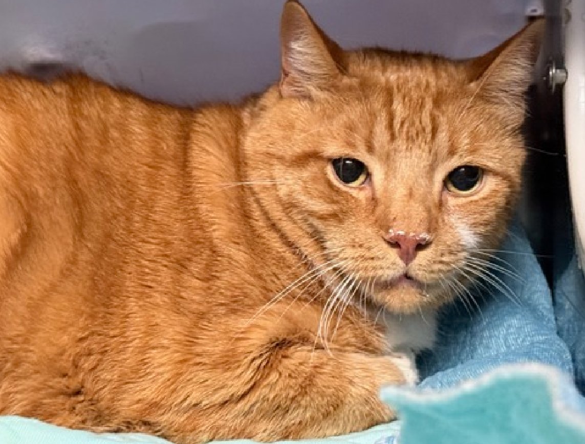 Jack5928 tweet media