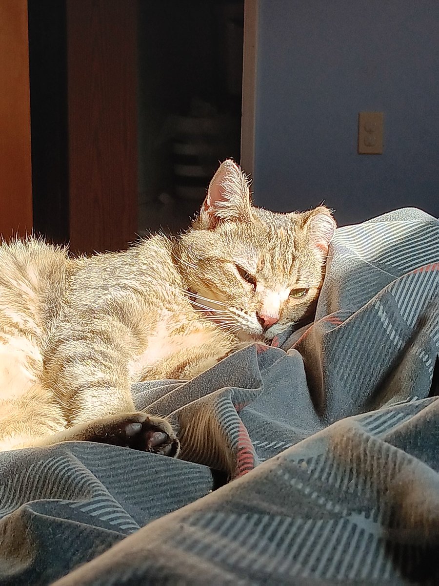 ps1snake tweet media