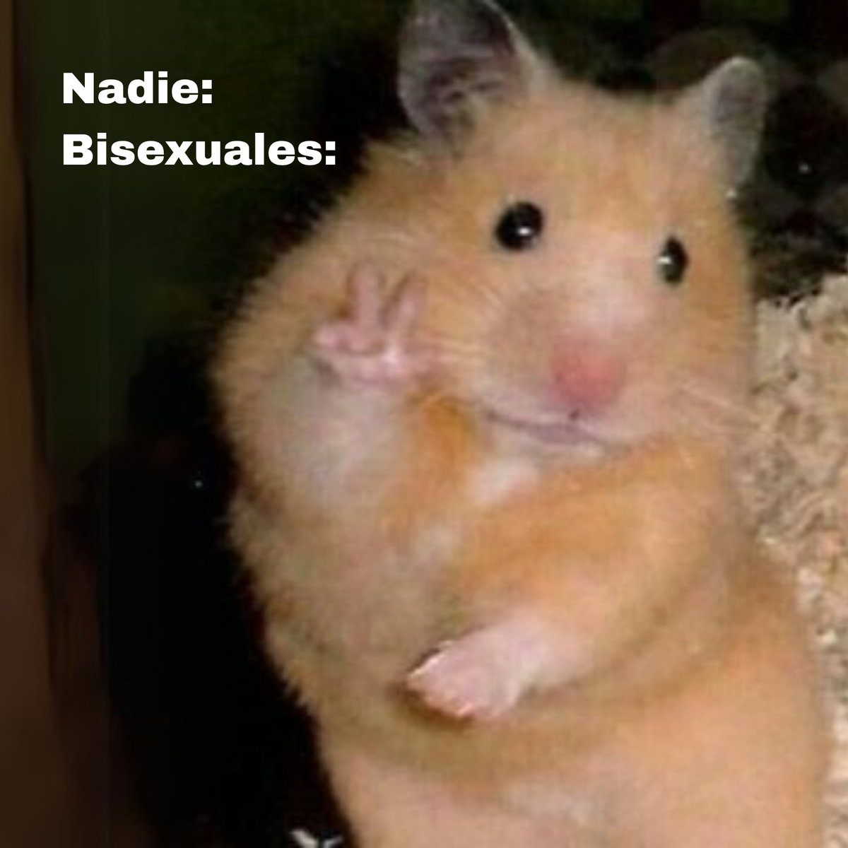 Bisexual.org en Español (@biorgesp) on Twitter photo 
