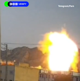 ✦✦✦ 𝙿𝚊𝚖𝚙𝚑𝚕𝚎𝚝𝚜 ✦✦✦ tweet media