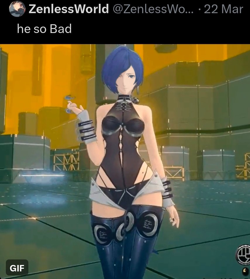 luna 💾 tweet media