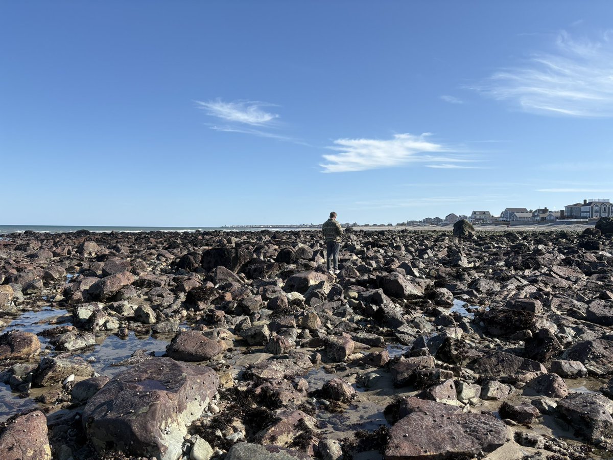 𝒜𝓈𝒽𝓁𝑒𝓎 ♔ tweet media