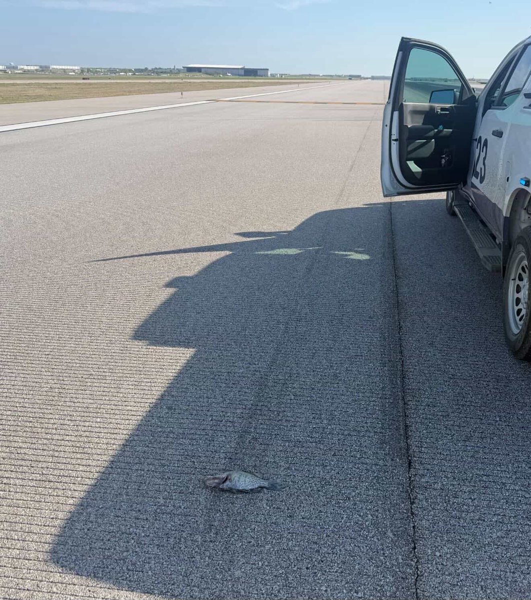 Combat Learjet tweet media