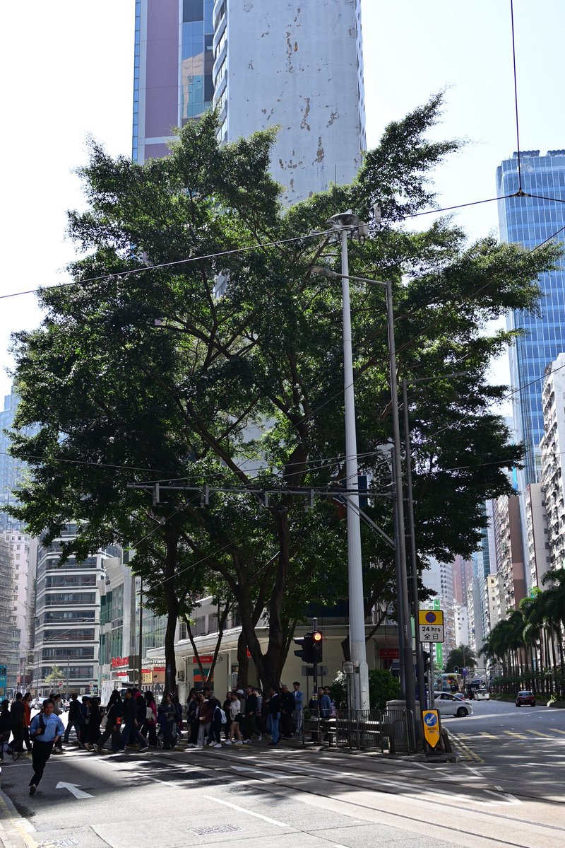 佐敦哥哥 tweet media