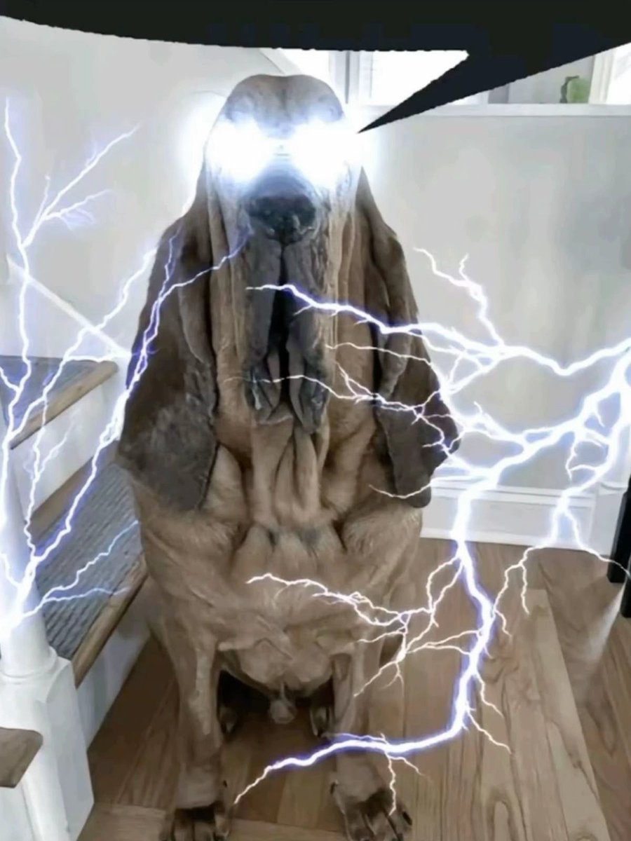 Zodd | Video Editor🎬 tweet media