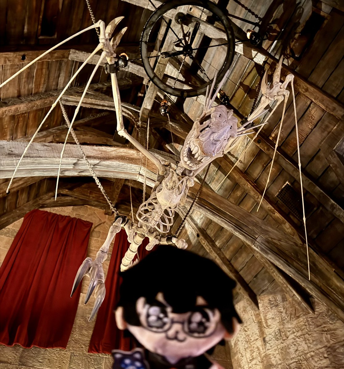 Zander🌻 tweet media