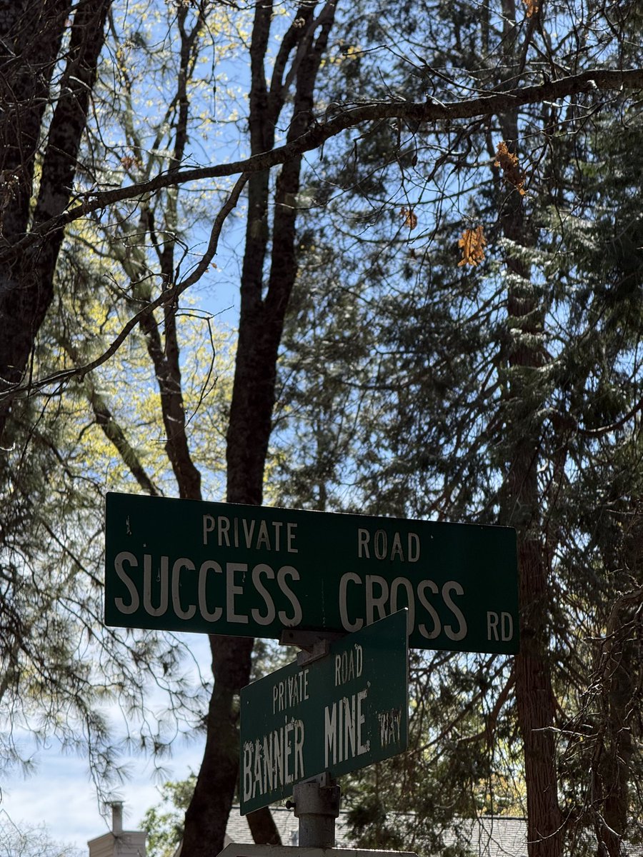 CRYPTO DIAMOND EYES tweet media