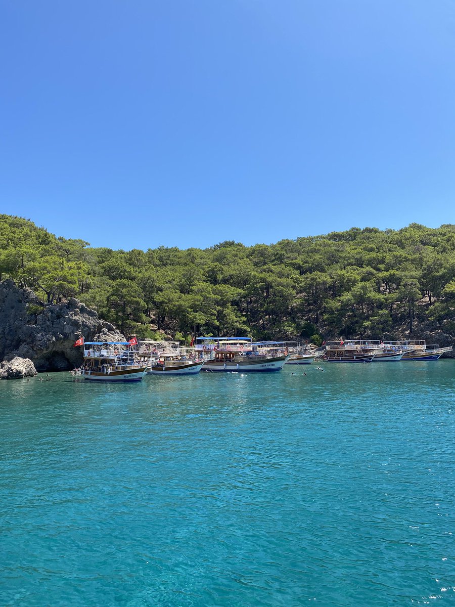 rhea 🪭 tweet media