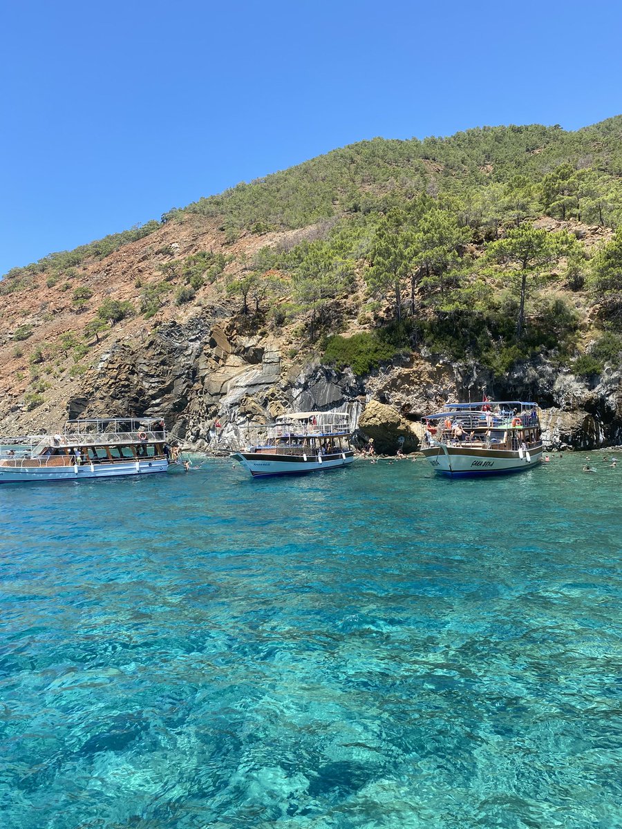 rhea 🪭 tweet media