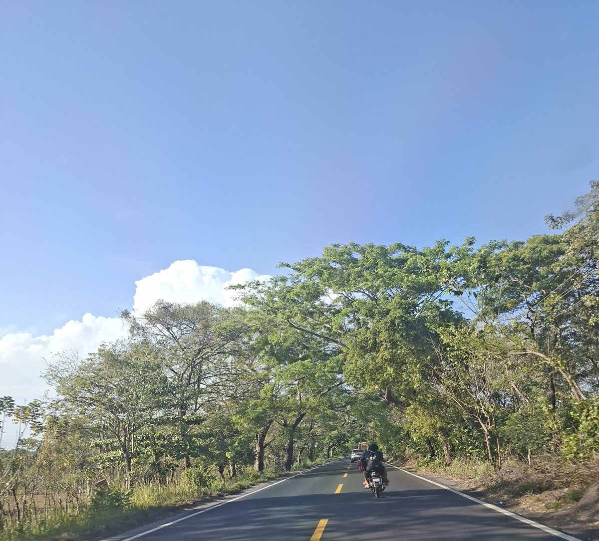 Saúl Interiano tweet media