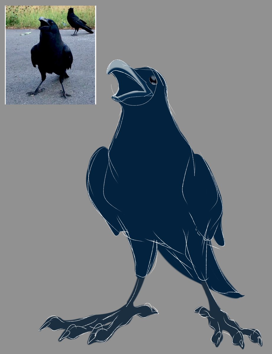 Zecret (Comms Open) tweet media