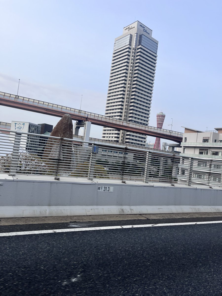 やまちゃんのゆるーく日常🌈🎰 tweet media