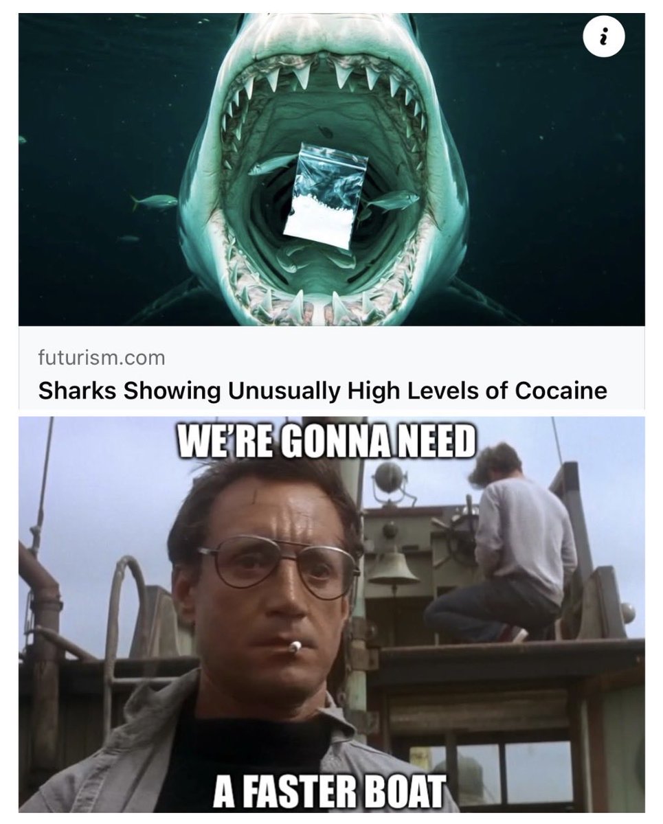 Artem Mikhlin tweet media