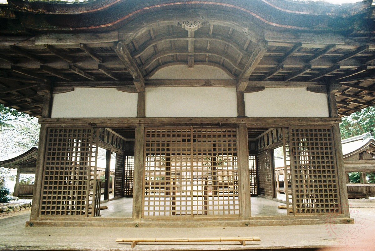 Nyagon (film photography lover) tweet media