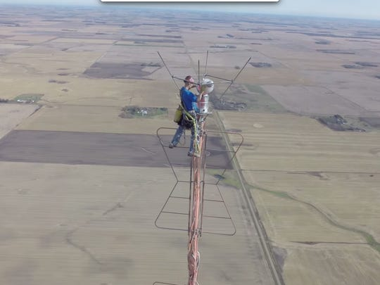 Jack Findleton tweet media