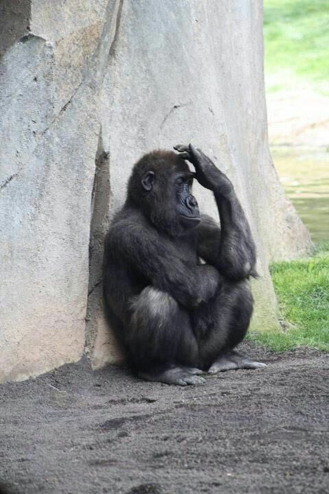 No be to follow person, try dey engage nah