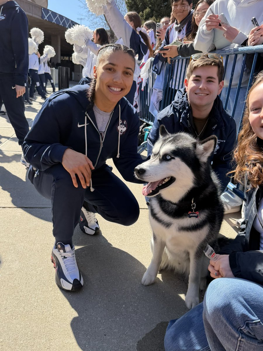 Jonathan the Husky tweet media