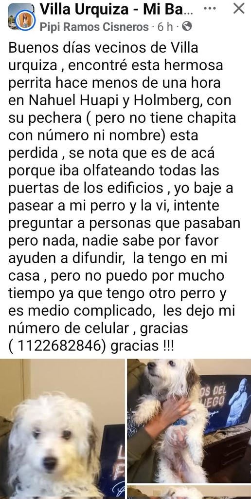 Perito Nitis Stella🇦🇷🤜🤛 tweet media