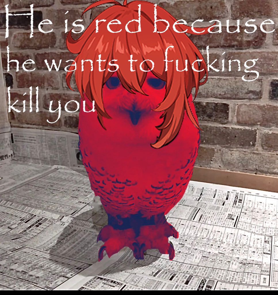 moth 🍣🍥 tweet media