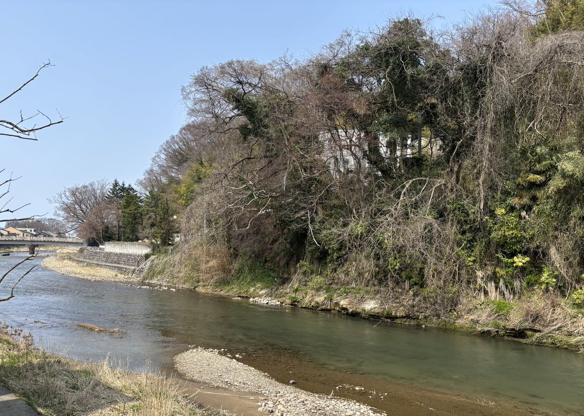 でぶーん tweet media