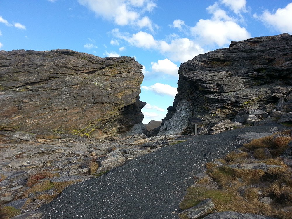 Saltwater on the Fly tweet media