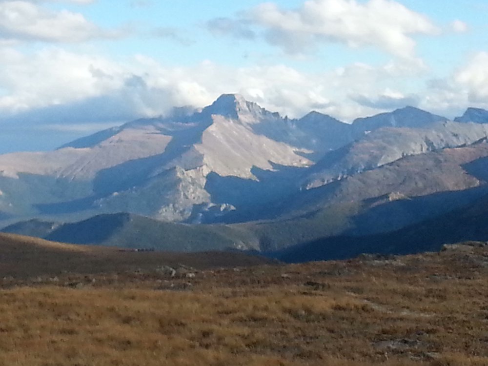 Saltwater on the Fly tweet media