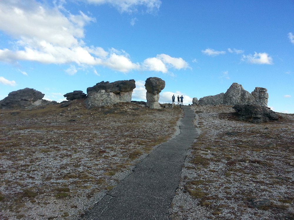 Saltwater on the Fly tweet media