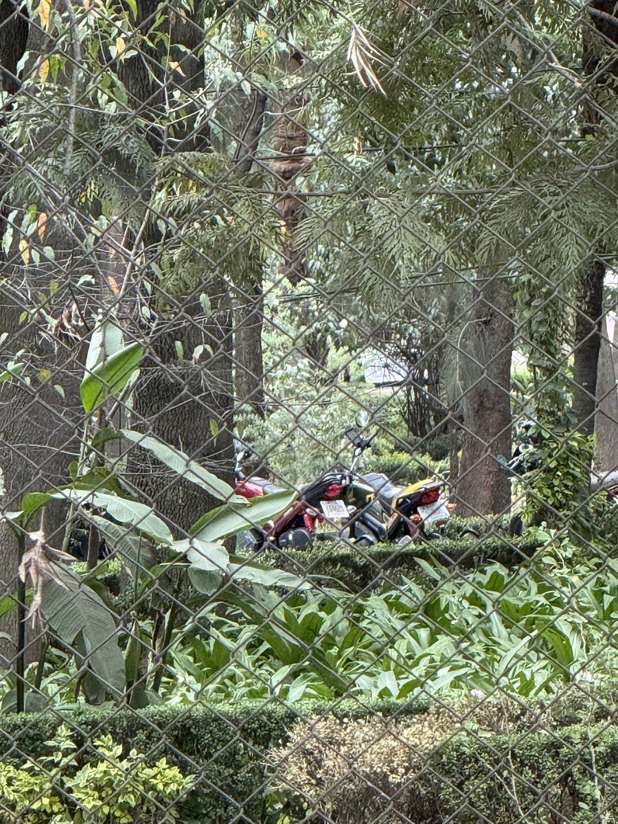 alevzz94 tweet media