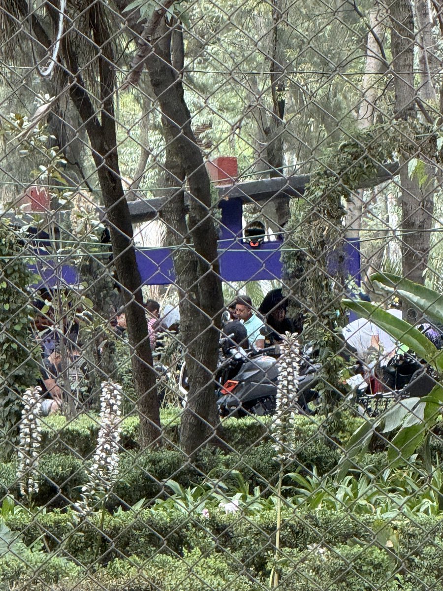 alevzz94 tweet media