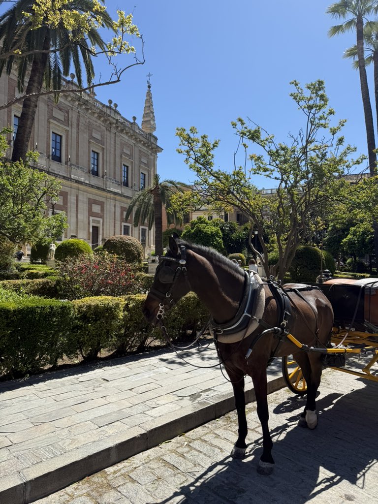 Archie Jonathan tweet media