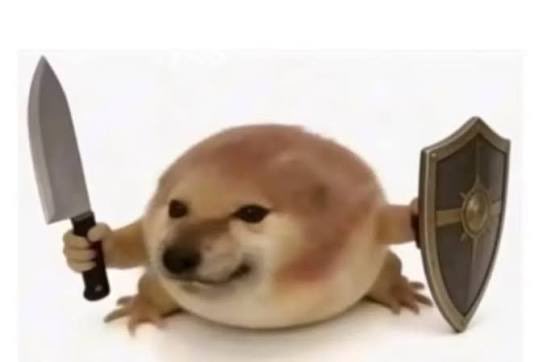 𝖒𝖎𝖗𝖆𝖌𝖊 tweet media