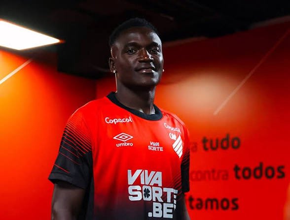 Tonnbahia tweet media