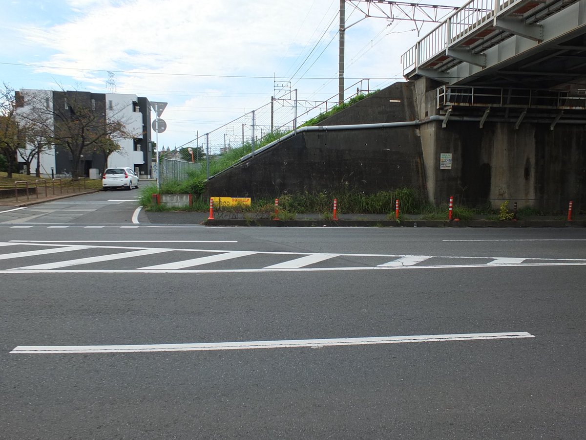 Fun Model tweet media