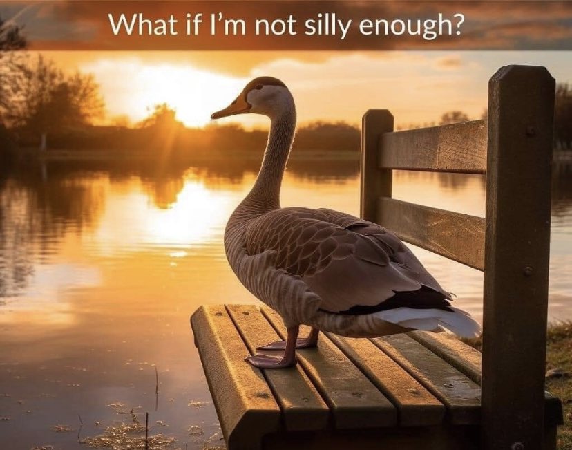 Poko Rakun 🔑 tweet media