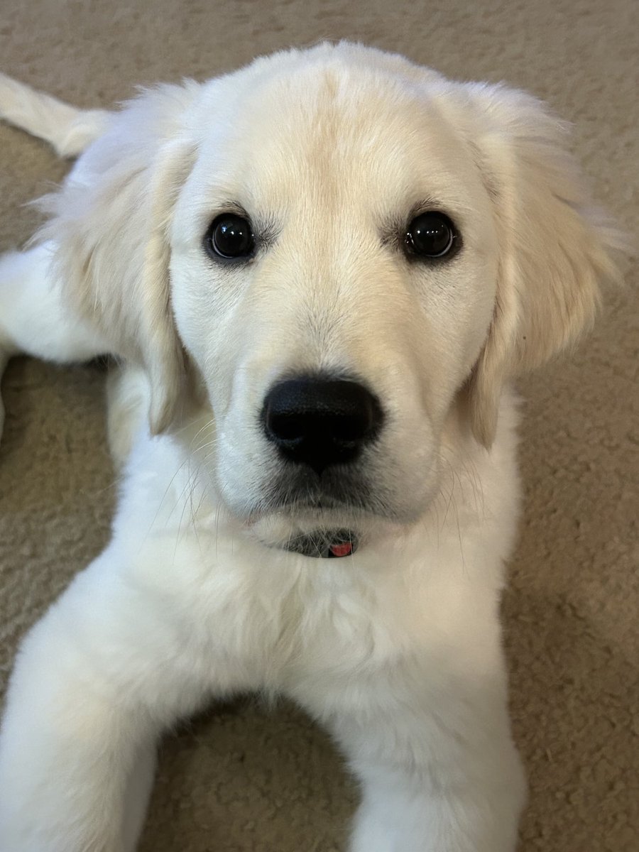 Baxter&Bailey tweet media