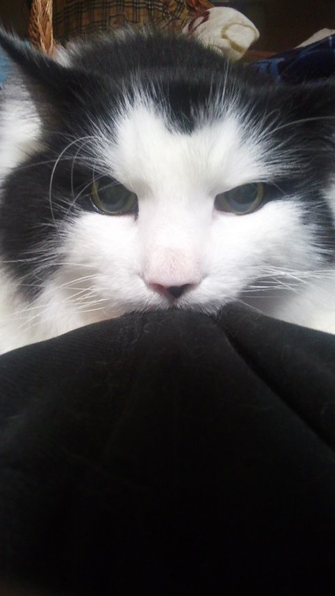 熊千代⁺²⁹⁷🕶️🔥 tweet media