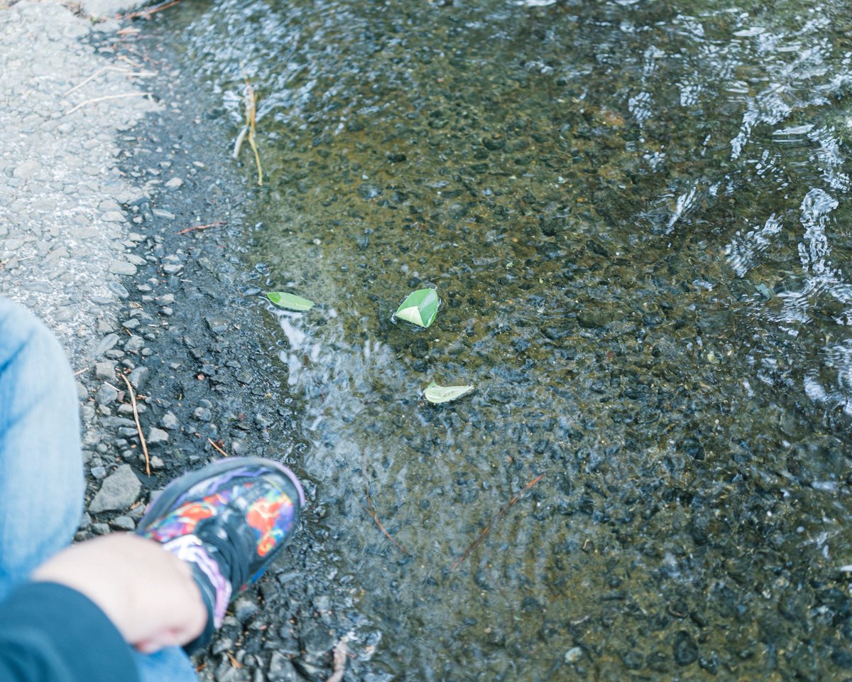 池田翔汰 tweet media