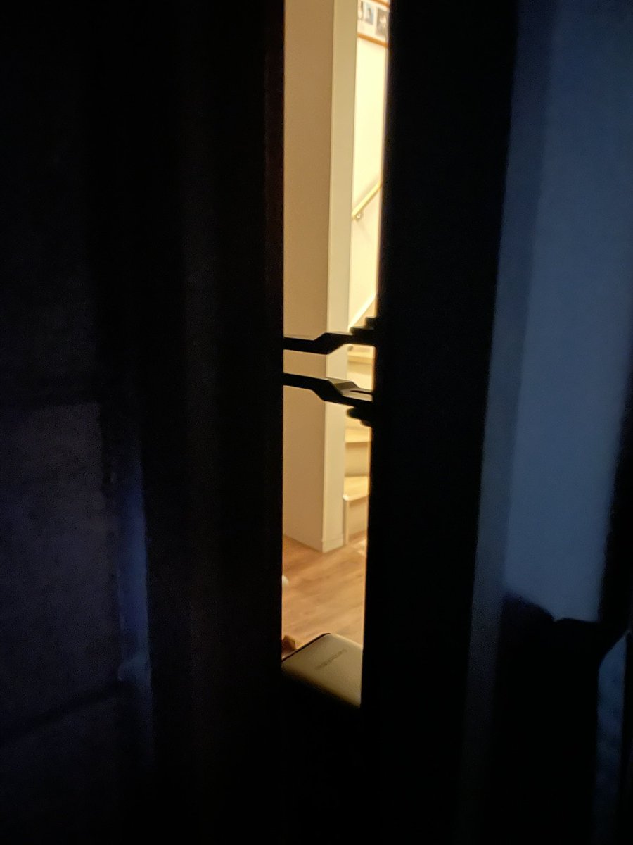 かず_jAnkie tweet media