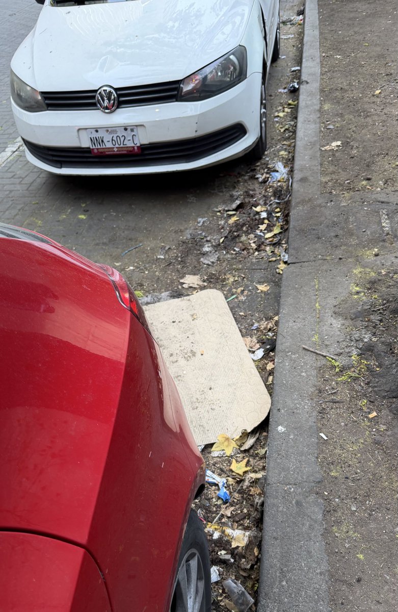 Diana Valenzuela tweet media