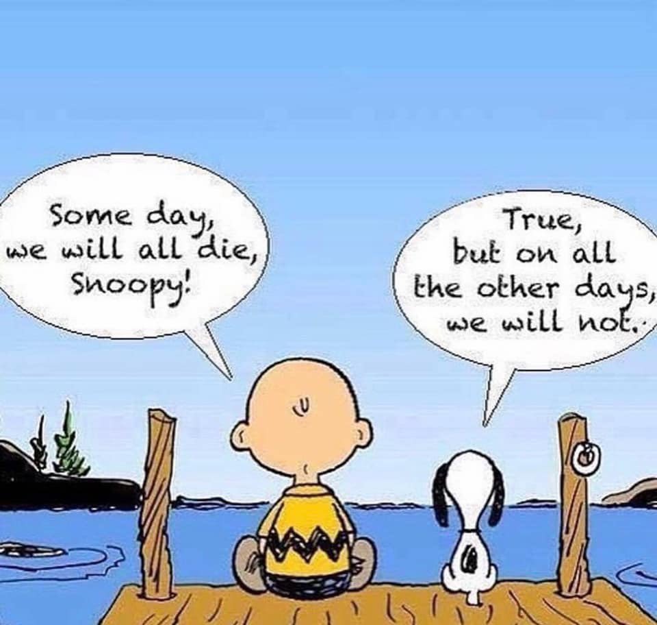 tonyblauer's tweet photo. This is deep. This is true. I love this cartoon’s message.

Here’s what I got from it:

“Defeat should always come as a surprise.”

Here’s what I mean:

It’s sometimes easier to focus on fear because the fear is now and the goal is in the future. We get a fear spike right now because we are visualizing a future negative event. By focusing on fear, we debilitate ourselves in the present.

I’ve used the acronym F.E.A.R. — False Expectations Appearing Real — for a few decades. This cartoon perfectly depicts it. Charlie Brown is suffering right now over something that hasn’t happened yet. And Snoopy, in his quiet wisdom, reminds him: on all the other days, we will not die. Focus on those days.

The Remedy?

😬The rest of the article is in my Substack feed. Sign up for FREE so you don’t have to do this annoying step next week! 👊https://t.co/4tA8f5cJgJ 

Coach B