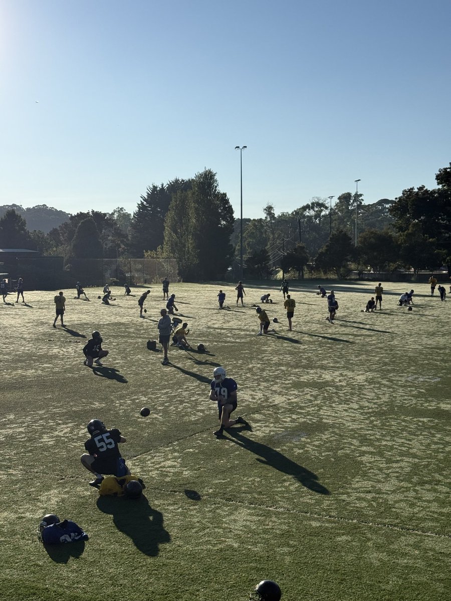 Prokick Australia tweet media