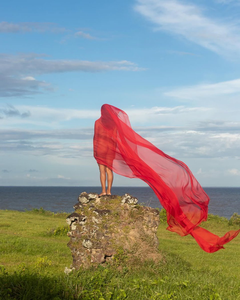 Boto cor de Sanns tweet media