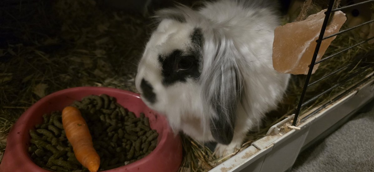 Pedal to the metal tweet media