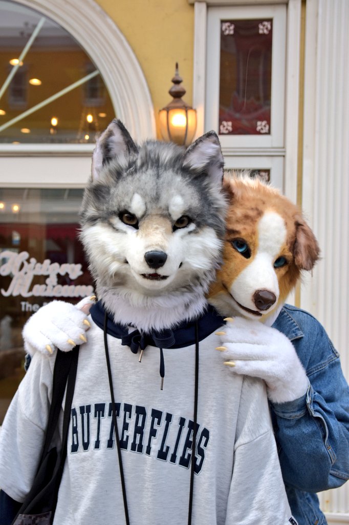 レシュー📷 tweet media