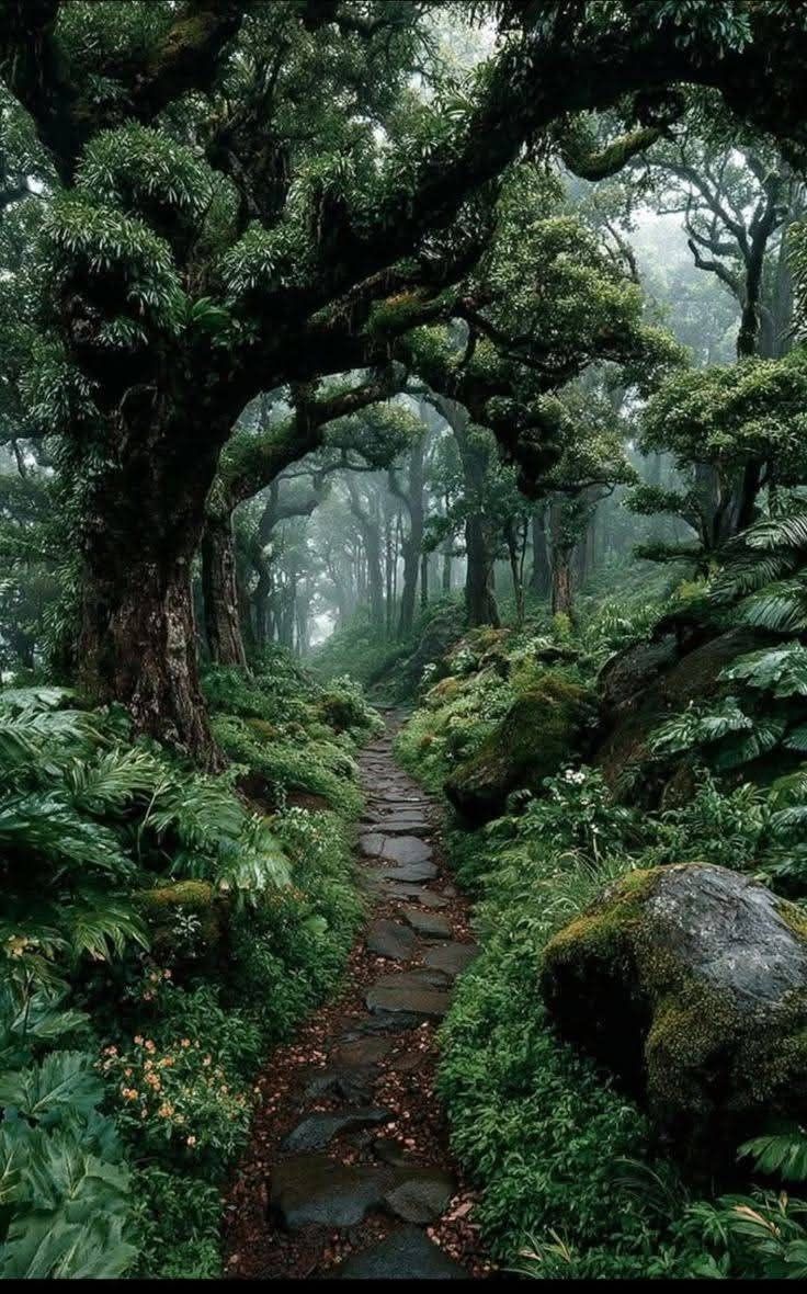 Beauty of Nature 🥀 tweet media