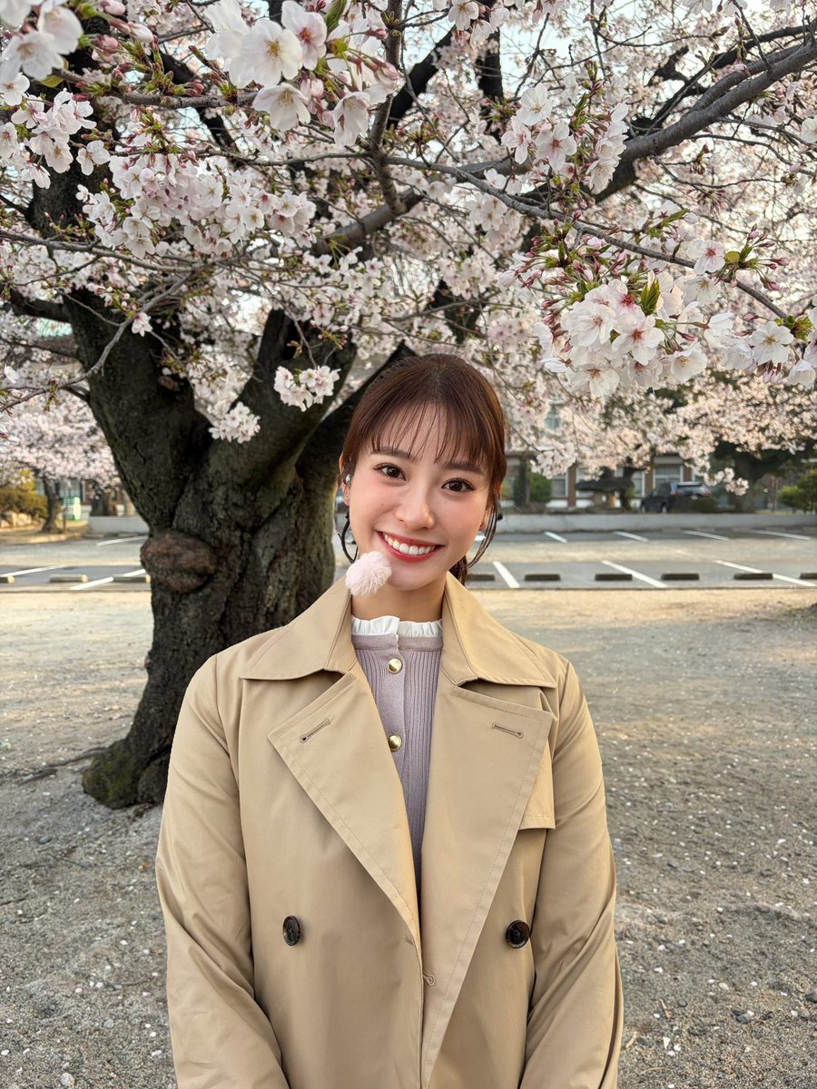 ドデスカ！（メ～テレ）【公式】 tweet media