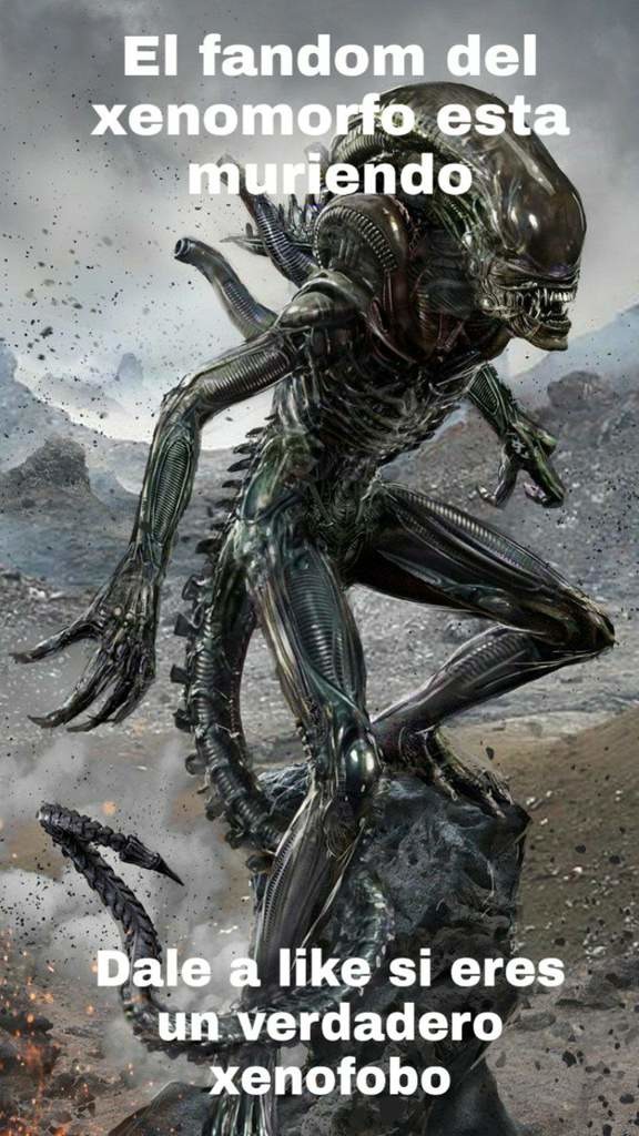 Dino Cris 13 Multiverse tweet media