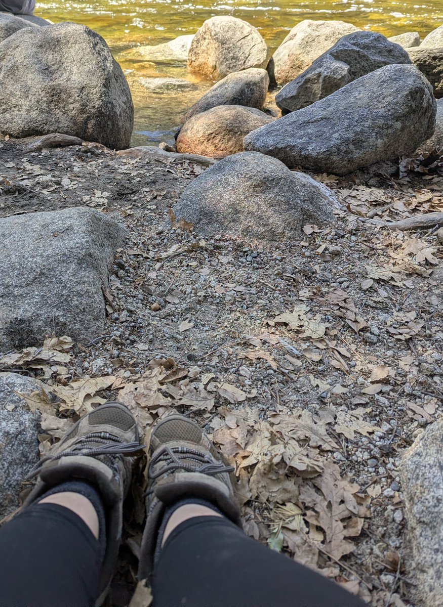 MamaAllen tweet media