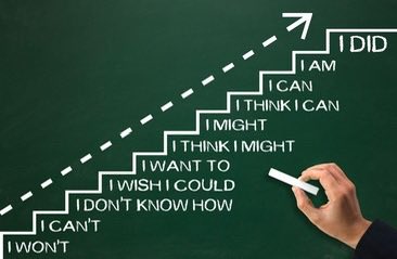 Daily Network tweet media