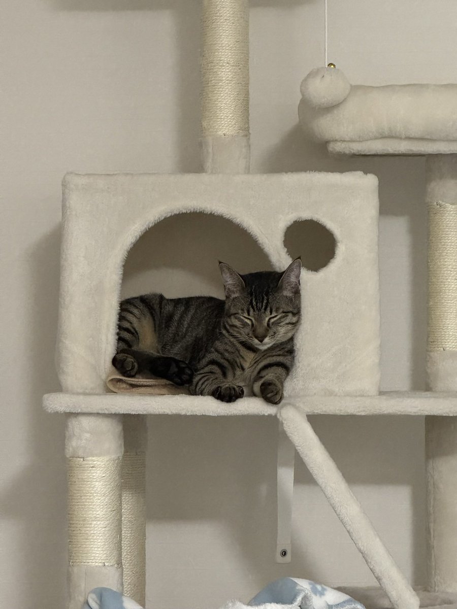 くちゃみ tweet media